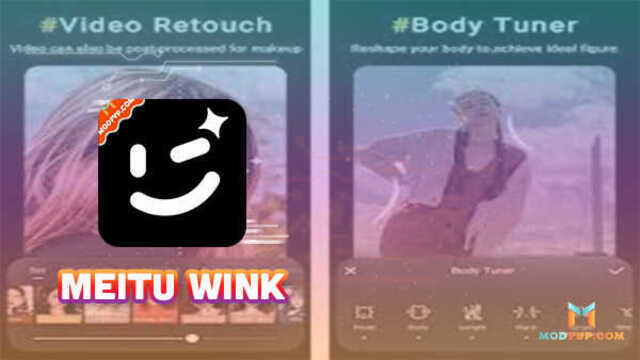 wink download 